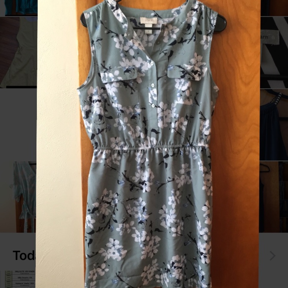 Ann Taylor Dress